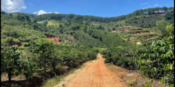 10.636m2, thuộc xã Tà Nung TP Đà Lạt tỉnh Lâm Đồng. Giao thông thuận tiện, cách