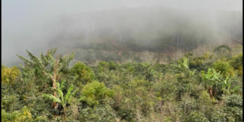 Cần BÁN LÔ ĐẤT 1.1ha TRẠM HÀNH ĐÀ LẠT CHUYỂN ĐƯỢC ĐẤT Ở Diện tích: 11.000m2