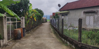 Bán đất đẹp ( nhà vườn ăn trái đang thu hoạch)