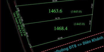 Cc Bán Hai lô Diên Lâm-Diên KHánh  DT lô 1:1463m2 sổ CLN      Lô2:1468m2 sổCLN