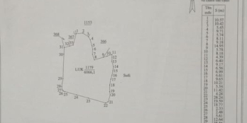 Bán 6100m đất TCLN Diên Sơn. Giá chỉ 250ngàn/m