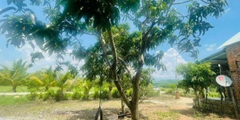 Đất vườn Diên Thọ 1843 m2 ( quy hoạch đất ở )