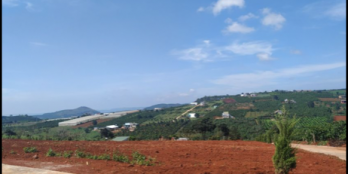 - Đất nghỉ dưỡng 10x62, tặng 100m2 thổ cư - Hạ tầng hoàn thiện bao gồm đường bê