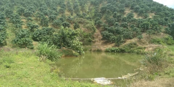 Giá: 550tr (Buông sổ). Diện tích 6x20m2 (120m2) sẵn thổ cư 100m2 Vị trí: Đất th