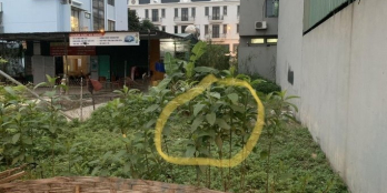 Cần bán nhanh mảnh đất nằm trong khu đất 31hecta tại Trâu Quỳ, Gia Lâm