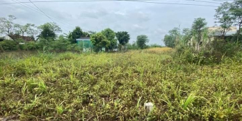 Cần bán gấp đấ nền có thổ cư ngang 6 dài 39m có 100m thổ cư Gò Công Đông