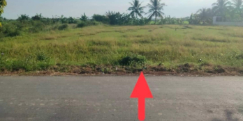 Chính chủ gửi bán miếng đất ngộp giá rẻ tại Vĩnh Hựu Gò Công Tây