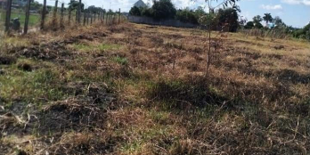 Tại xã Bình Đông, TX Gò Công cần bán đất nằm trước Khu Cụm Công Nghiệp Mỹ Lợi