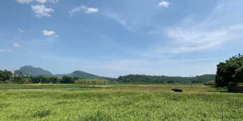 Cần bán lo đất 4000m2 khu vực đá trắng-xã thống nhất-tp hạ long