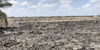 Đất tiềm năng gần đường đê ven biển