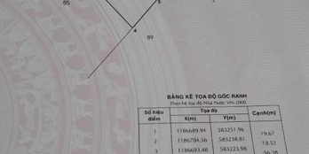 Đất trồng cây lúa nước đang xin chuyển lên đất đất trồng cây lâu năm XÃ BÌNH LỢI