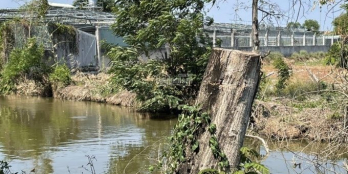 (Bán gấp) 2 lô đất thổ (ruộng) đường liên ấp 4 - 5, xã Đa Phước