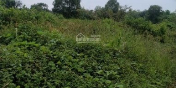 450tr 120m2 đất vườn-đa phước-bình chánh