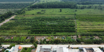 Bán đất 23000m2 (2,3 ha) mặt tiền đường An Hạ-3 triệu /m2