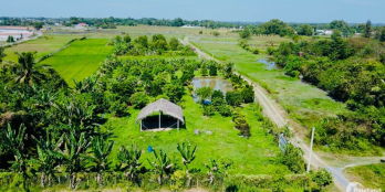 Đất vườn củ chi giá rẻ 1tr800/m2 1618m2 sổ hồng riêng