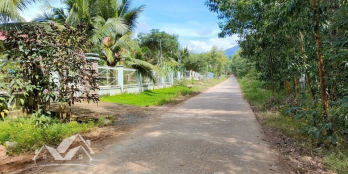 Đất cây lâu năm Khánh Đông - Khánh Vĩnh cách dân chỉ 200m.