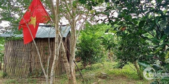 Chỉ 700 triệu - Bán mảnh vườn đẹp bằng phẳng Khánh Vĩnh - Đường ô tô vào tận nơi