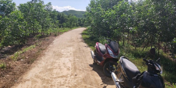 Cần bán lô đất Khánh Đông giá cực hot