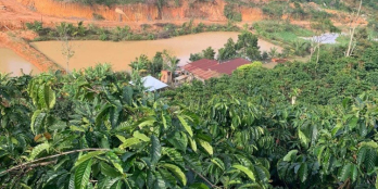 Bán 1ha2 đất bằng , 170m bê tông hiện hữu  Ngay TT Lâm Bô thuộc xã phúc Thọ ,  C