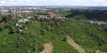 Giá chỉ từ 1,7tr/1m2 (Khoảng 1,3 tỷ). Diện tích 767—>791m2 Vị trí: Phúc Thọ, Lâm