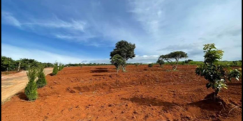 Chính chủ cần bán lô đất 627m2, thổ cư 100m2, sổ hồng sẵn giá 950 triệu. - Đất t