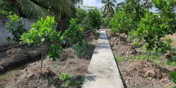 Gần 1,8 công đất vườn, có rào kiên có xung quanh thuộc Thanh Đức, LH, VL