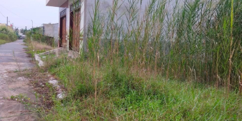 Bán đất thổ cư đẹp. Cách QL1 vài ba bước chân. Đường nhựa ôtô.