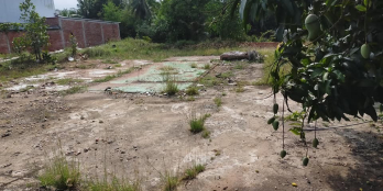 Dịch Cần tiền bán gấp đất Phú Quới có 5 nền giá 380 triệu 1 nền