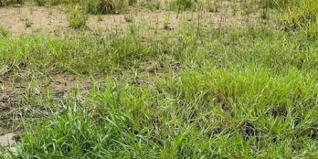 BÁN 2 NỀN LIỀN KỀ PHƯỜNG 3 . LỘ Ô TÔ