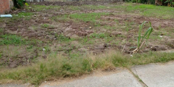 ÁN 4 NỀN SÁT BÊN THÀNH PHỐ VĨNH LONG  Địa chỉ : xã Thanh Đức huyện Long Hồ