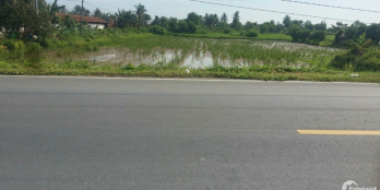 Chính chủ do kẹt tiền cần bán gấp lô đất mặt tiền - Diện tích 3926.5m