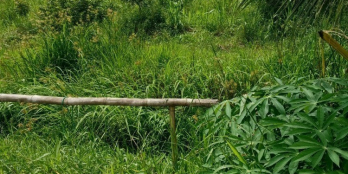 - Vị trí đất :mỹ phước,mang thít,vĩnh long. - Diện tích:1585.5m