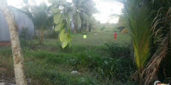 Hàng hót hót -Chính chủ do kẹt tiền cần bán gấp lô đất mặt tiền tỉnh lộ 31B cách