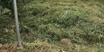 Bán đất nền xã Nhơn Phú - Huyện Mang Thít - Vĩnh Long: