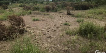 Cần bán nền tại xã Bình Phước, Mang Thít, Vĩnh Long