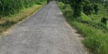 Cần bán nền tại xã Bình Phước, Mang Thít, Vĩnh Long.