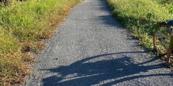 Gần 7 công đất vườn + ruộngmặt tiền lộ oto