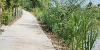 chủ cần bán 2 nền f0 Tân Long Mang Thít, cách ủy ban Tân Long Hội 500m, đường ô