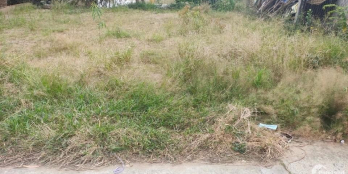 BÁN NỀN SIÊU ĐẸP VIEW SÔNG MÁT MẺ