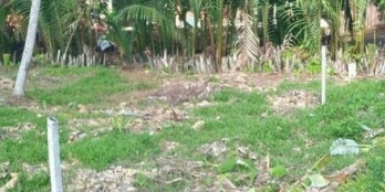 cần bán 1.076m2 đất đã tách sẵn ba thửa  Dt mỗi thửa trên 350m2