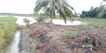 Hơn 2 công ( đất trồng lúa nước) Hòa tịnh - Mang Thít