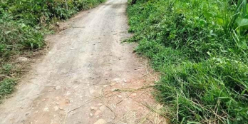 Bán 2404,3m đất ruộng thuộc khóm 4, thị trấn cái nhum, mang thít