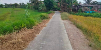 Bán 2.221m vuông đất lúa thuộc khóm 4, thị trấn cái nhum, mang thít