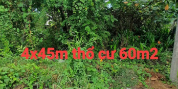 Đất mặt tiền nhựa tỉnh Lộ 870 thuộc ấp Đồng Trung An Tp Mỹ Tho