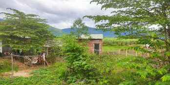 Lô giá đầu tư  SÔNG BÚNG - NINH TÂY NGAY SUỐI KHOÁNG NÓNG TRƯỜNG XUÂN