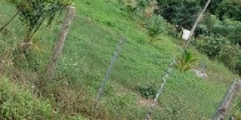 Đất đc quy hoạch CLN. Diện tích 11687m² , Ninh Hòa-Ninh Phú