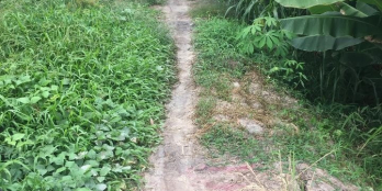 CHỦ CẦN BÁN GẤP ( THỔ 100%).CÓ DỰ ÁN LÀM ĐƯỜNG ĐAN 2,5m,