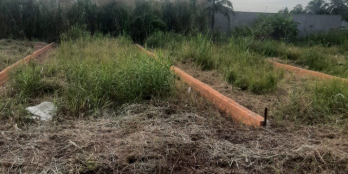 10 công xã Phú Lộc - Huyện Tam Bình - TP. Vĩnh Long: