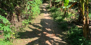 Bán 6côg mấy đất vườn đường đá cách lộ lớn 500m.