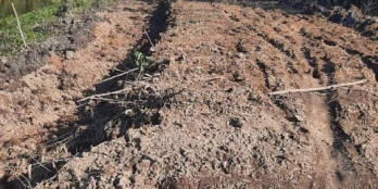 Cần bán 13,7 công đất, mỗi công 200 triệu tại Tân Phước, Tiền Giang